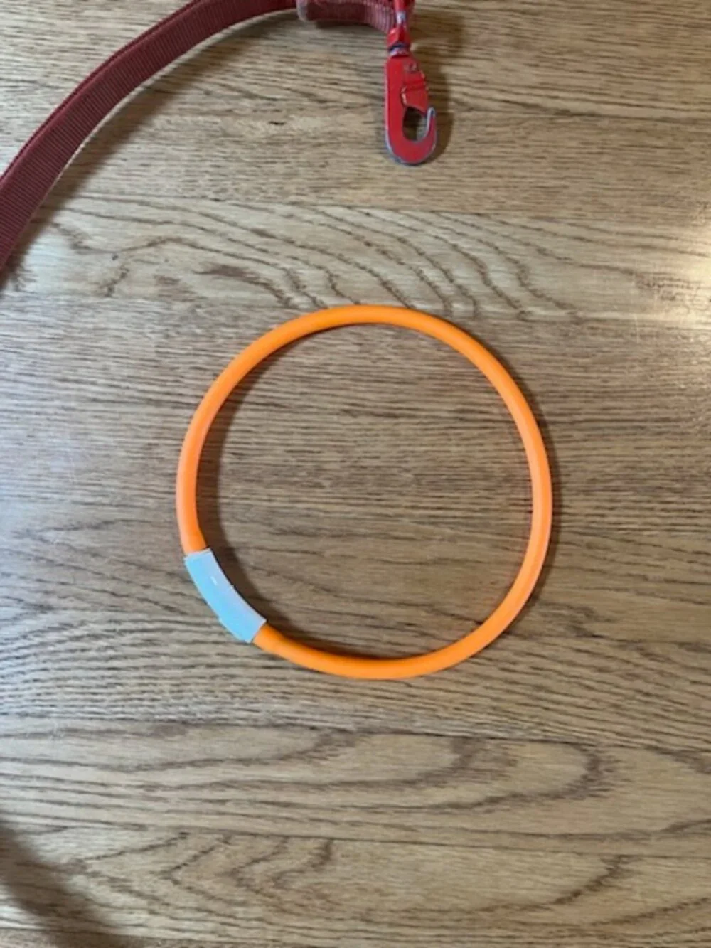Dog Leashes plus light collar